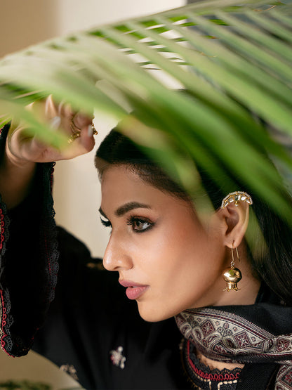 IZEL-Dhanak Embroidered Suit DN-2097