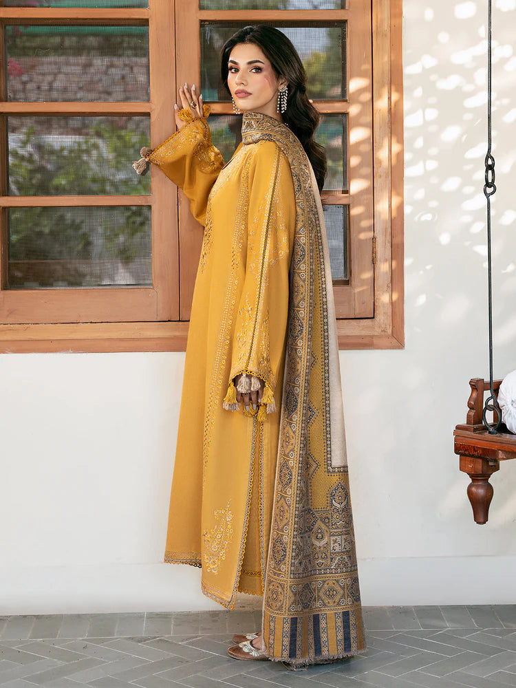 IZEL-Dhanak Embroidered Suit DN-2095